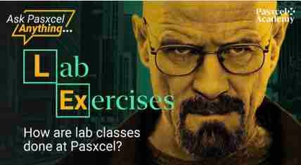 How Are Lab Classes Done At Pasxcel?