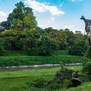 Ipoh min min 400x400 1